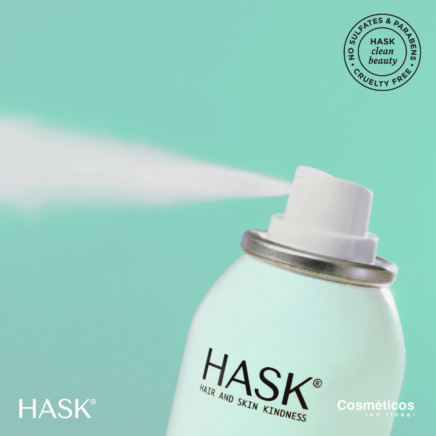 Shampoo seco con Tea Tree 122 g | Hask